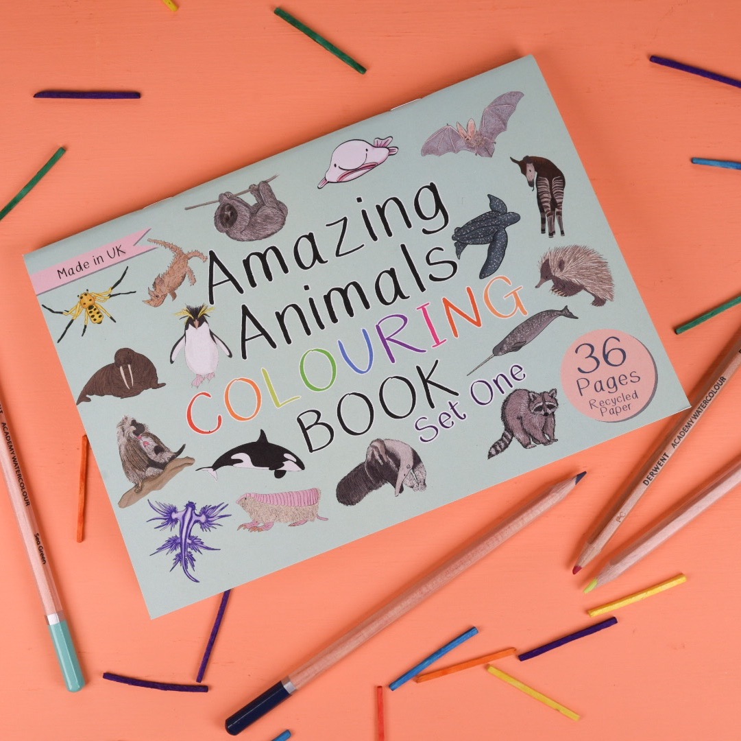 Amazing Animals Colouring Book (Set One)