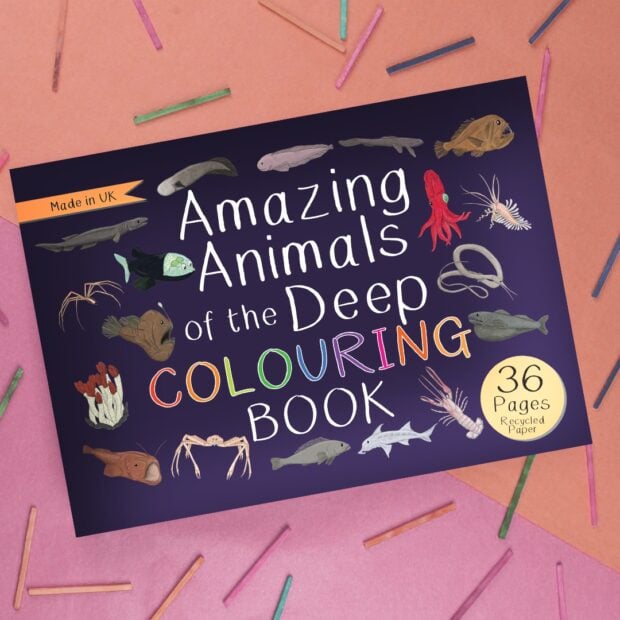 Amazing Animals of the Deep Colouring Book