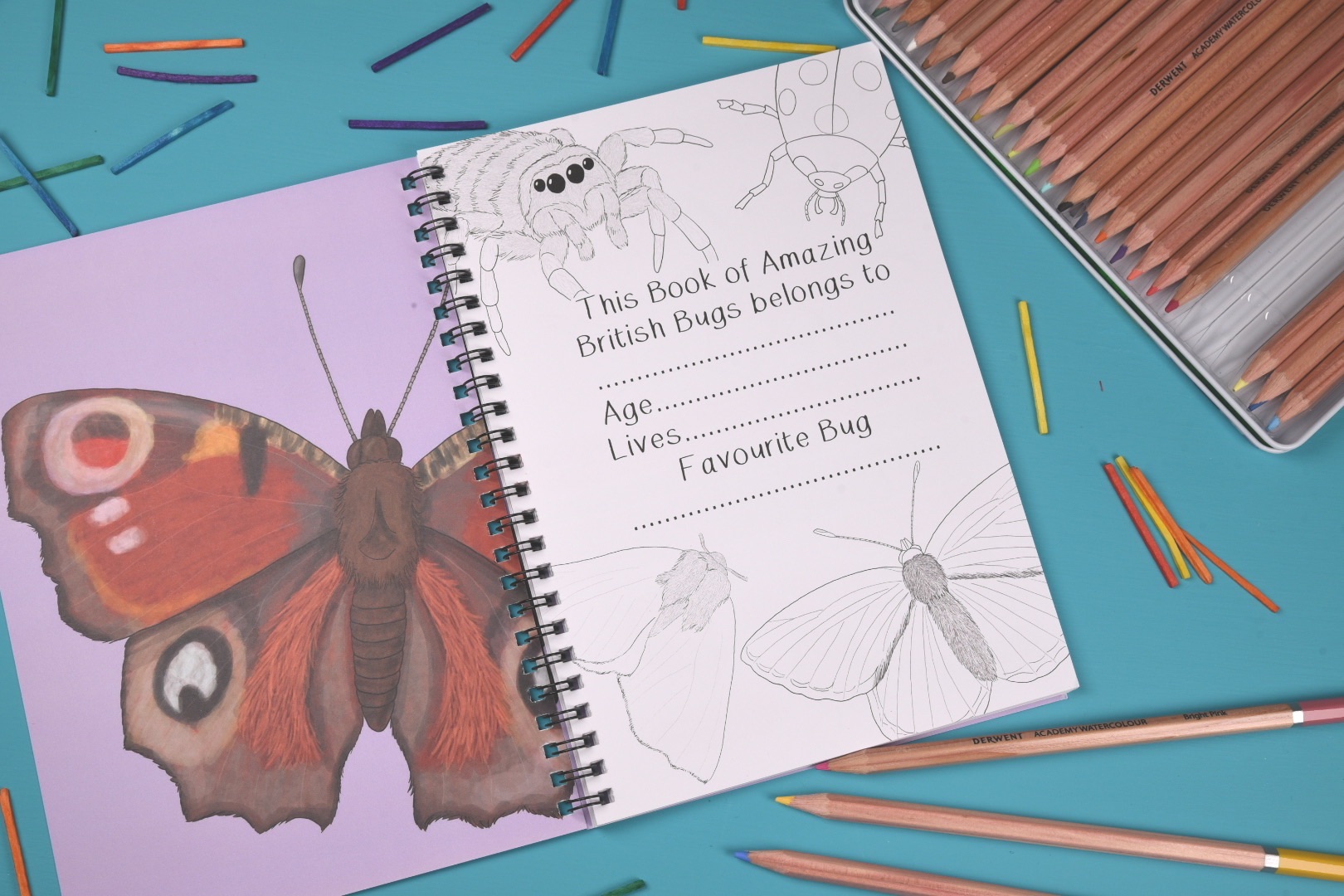 Amazing British Bugs Fact and Activity Book