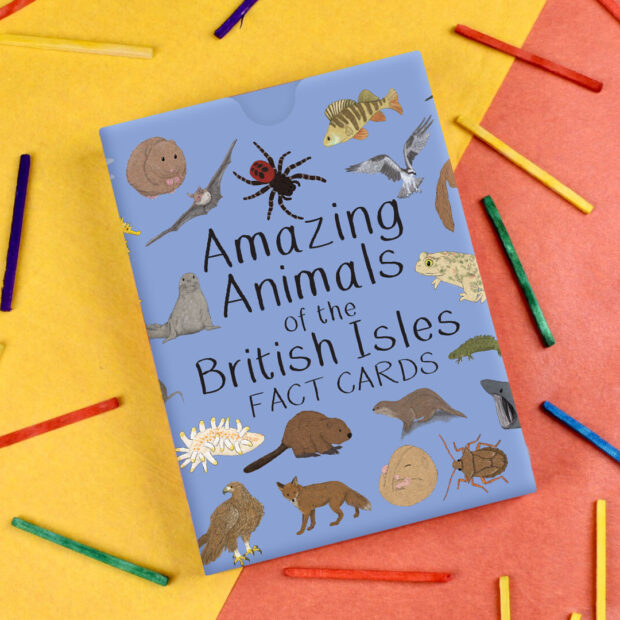 Amazing Animals of the British Isles Fact Cards