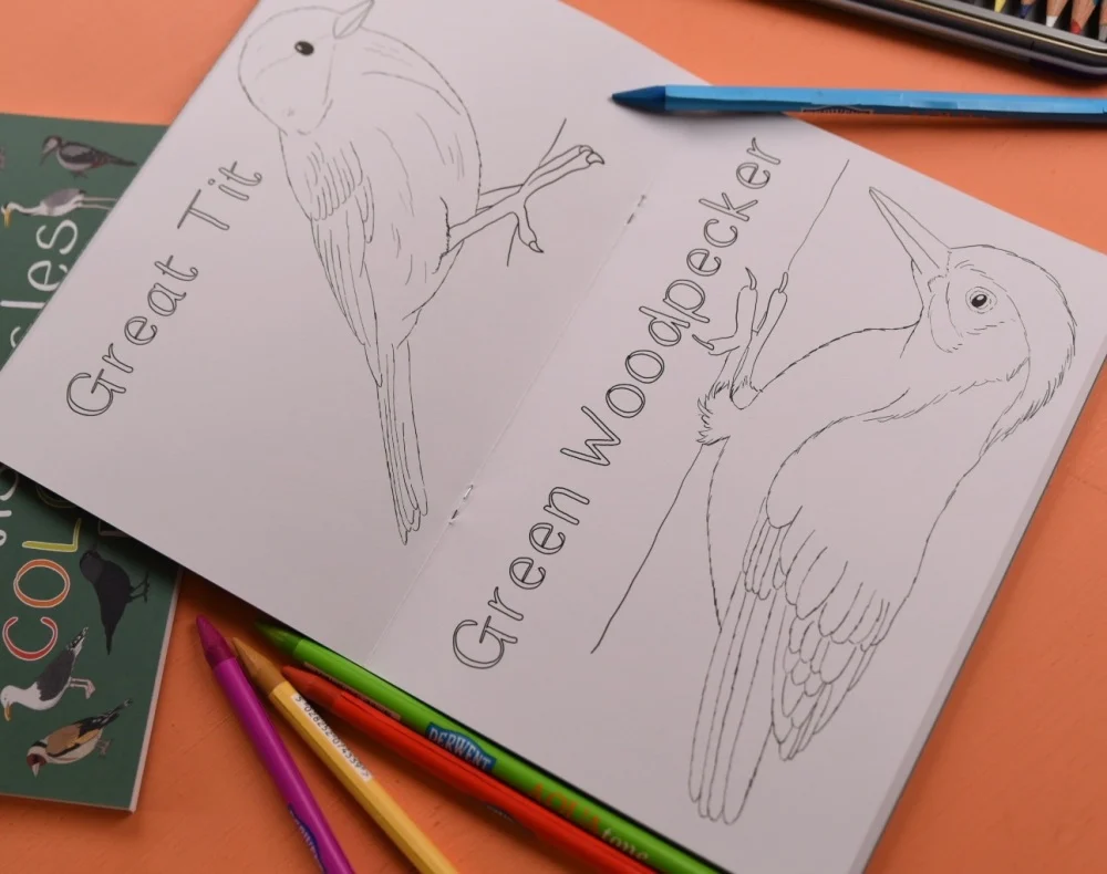 Amazing Birds of the British Isles Colouring Book