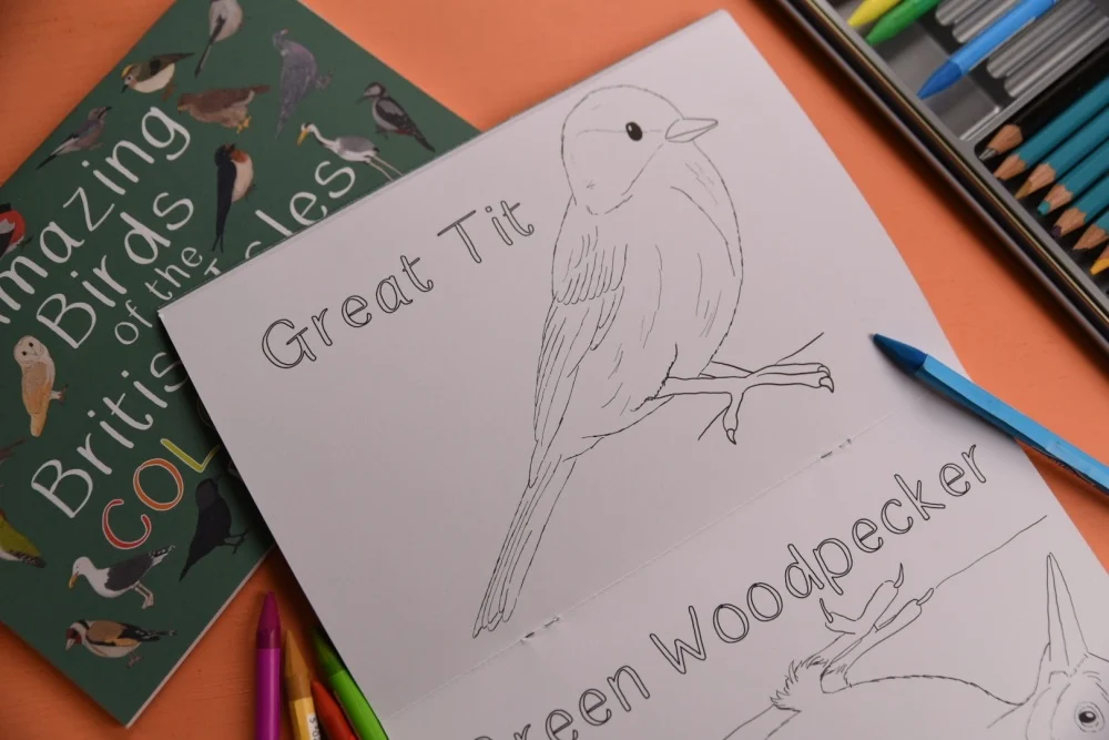 Amazing Birds of the British Isles Colouring Book