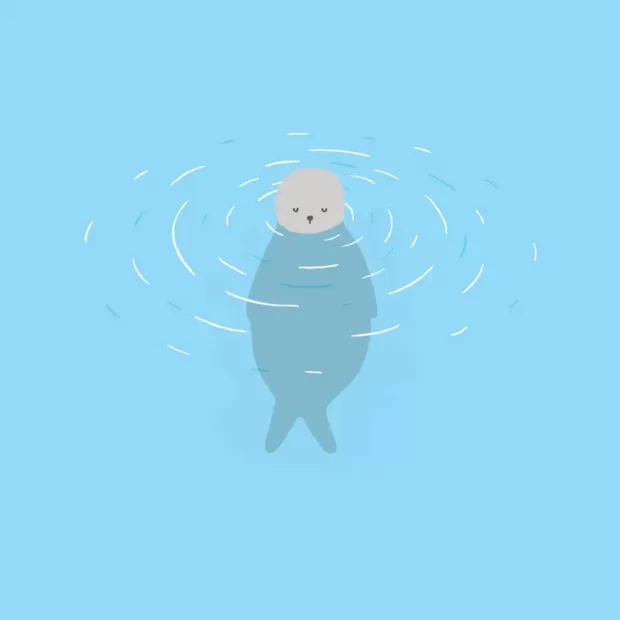 Happy Seal Postcard