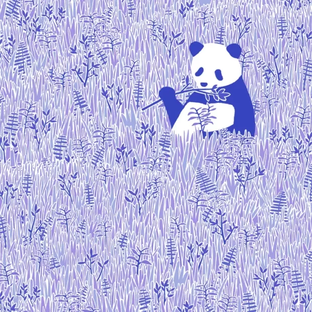 Panda Postcard