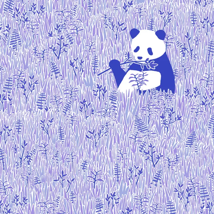 Panda Postcard