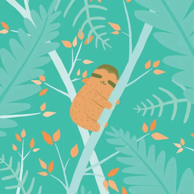 Sleepy Sloth Postcard