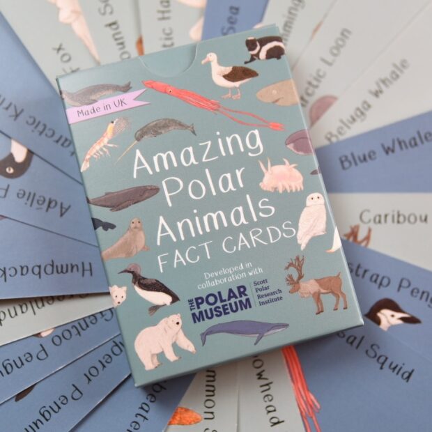 Animals & Nature