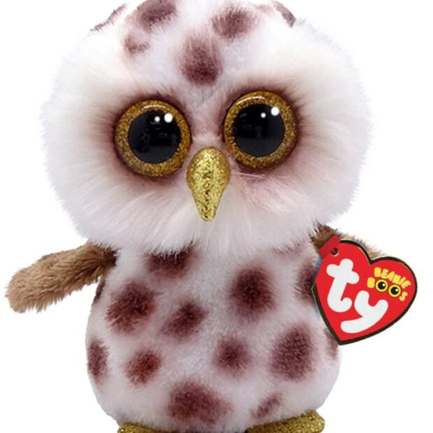 TY Whoolie the Owl Beanie Boo