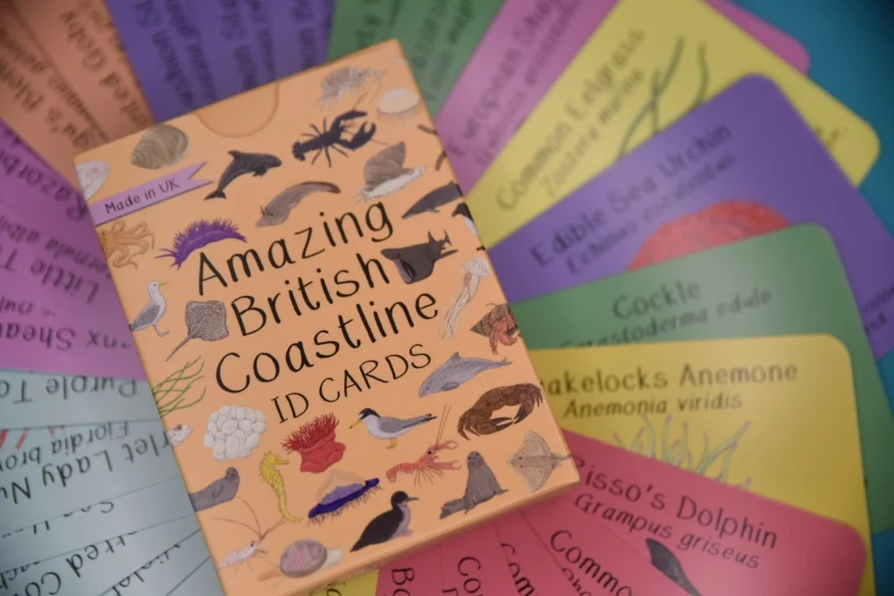 Amazing British Coastline ID Cards