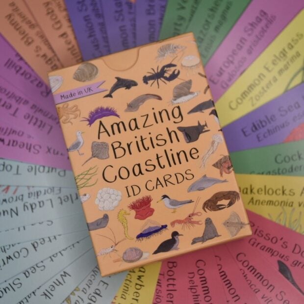 Amazing British Coastline ID Cards