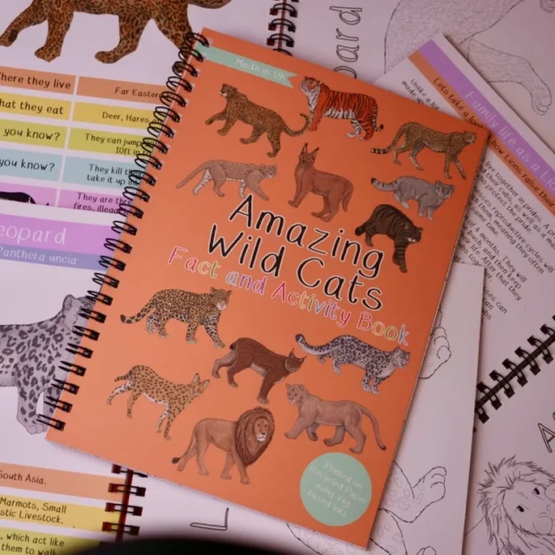 Amazing Wild Cats Fact and Activity Book