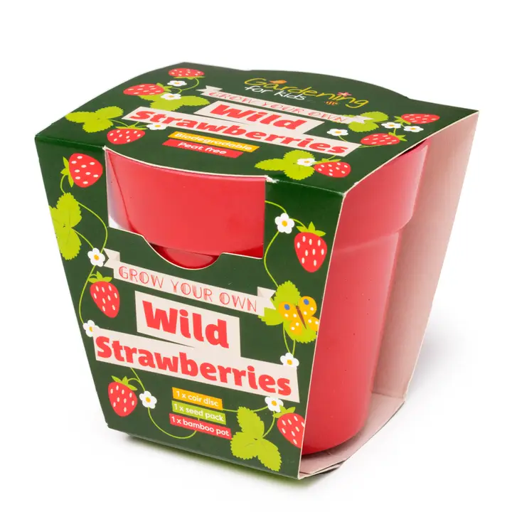 Grow your own wild strawberries kit