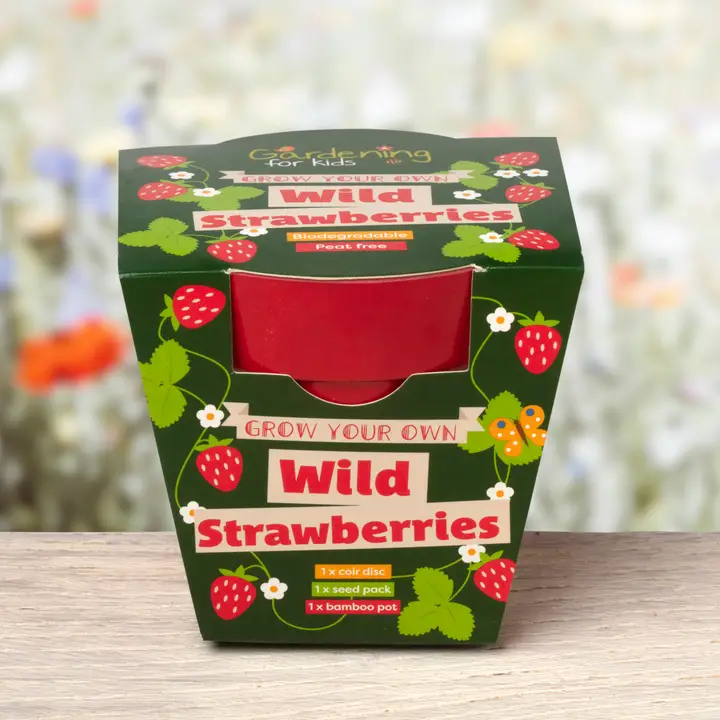 Grow your own wild strawberries kit