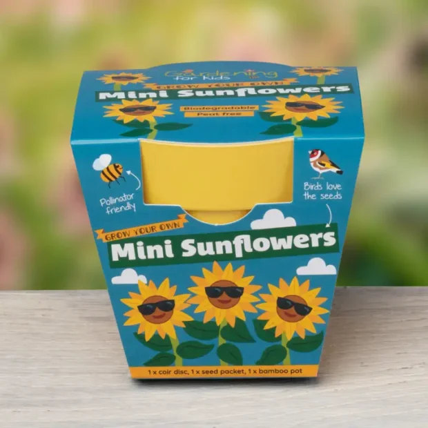 Grow your own mini sunflowers kit