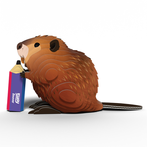 Beaver Eugy 3D Collectable Model
