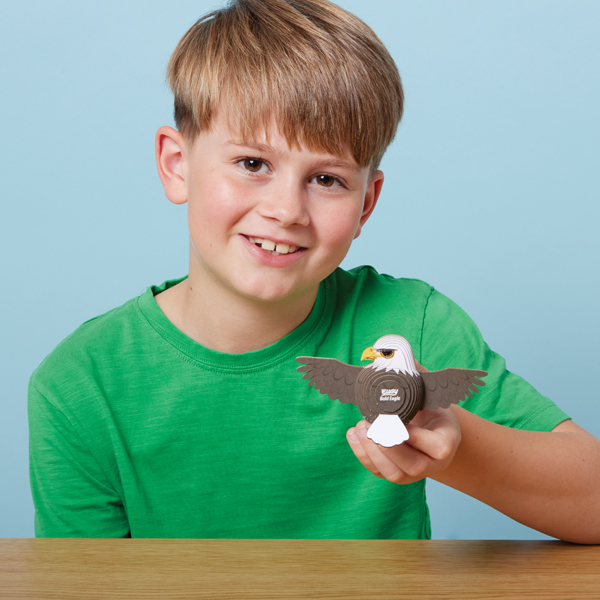 Bald Eagle Eugy 3D Collectable Model